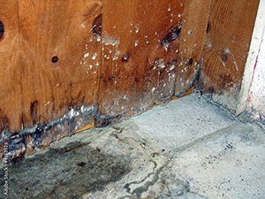 Professional Water Restoration Southfield MI1