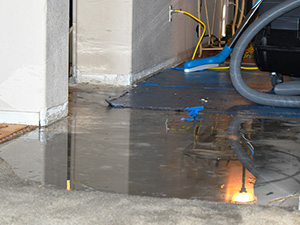Professional Water Restoration Southfield MI