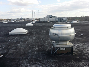 Roof Damage Protection1