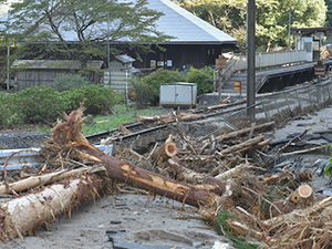 Disaster Restoration