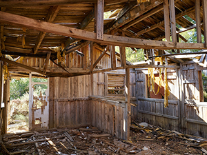 Fire Restoration1