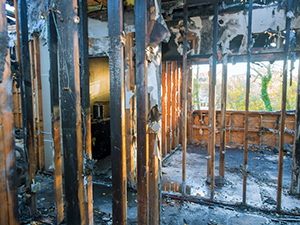 Fire Restoration