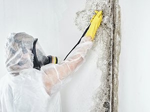 Mold Remediation - Clarkston, MI 2