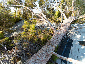 Home Damage Restoration Novi, MI 1
