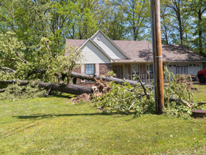 Disaster Restoration - Fenton, MI 1