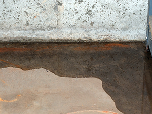 Home Damage Restoration Canton, MI 1