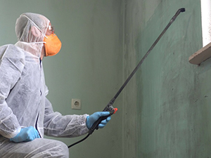 Mold Remediation Northville, MI 2