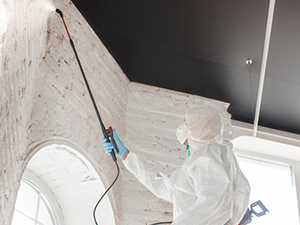 Mold Removal Service Canton MI 2