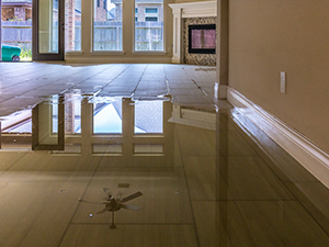 Water Damage Restoration Ann Arbor, MI 1