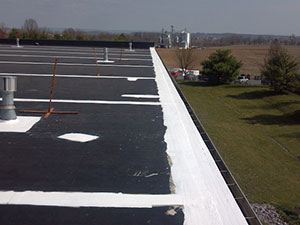 Commercial Roof Repairs Warren, MI 1