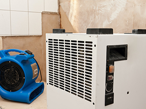 Water Damage Restoration Warren, MI 1