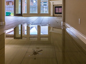 Mold Removal Service Auburn Hills, MI 1