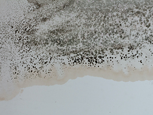 Mold Removal Service Auburn Hills, MI 2