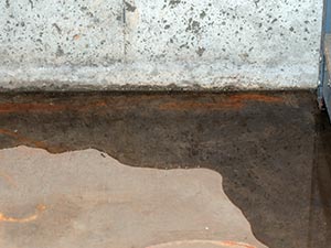 Home Damage Restoration Romulus, MI 2