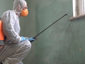 Mold Removal Service Pontiac, MI 2