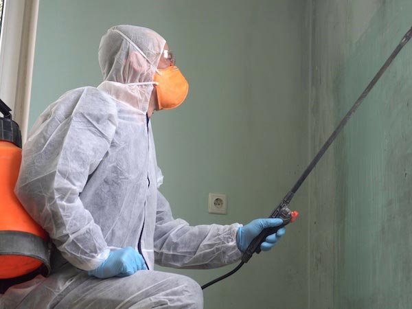 Black-Mold-Remediation-Novi-MI-Michigan-1 | Incore Restoration Group Black Mold Remediation Novi, MI 1