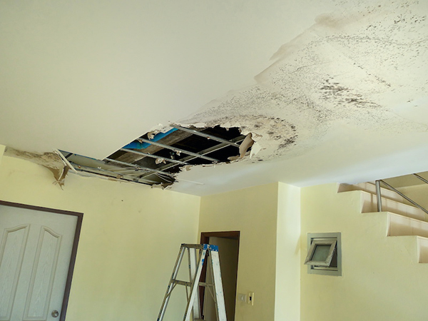 Home Damage Restoration Royal Oak, MI 1