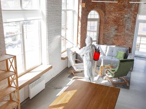 Mold Removal Service Royal Oak, MI 2