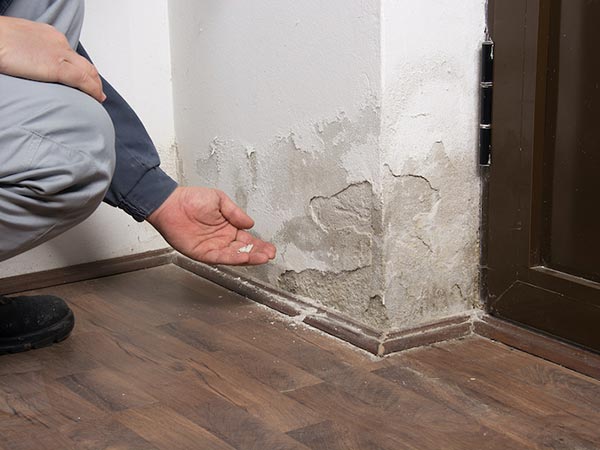 Black-Mold-Remediation-Romulus-MI-Michigan-2 | Incore Restoration Group Black Mold Remediation Romulus, MI 1