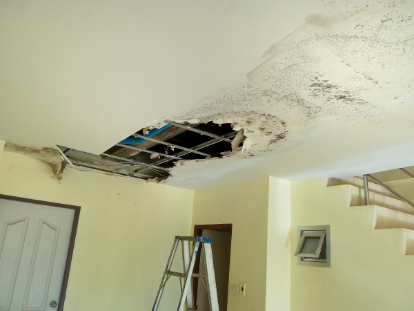 Water Damage Repair Pontiac, MI 1