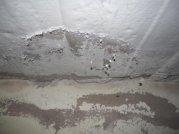 Water Damage Restoration Company Novi, MI 1