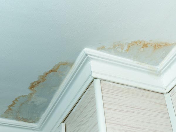 Water Damage Restoration Company Novi, MI 2