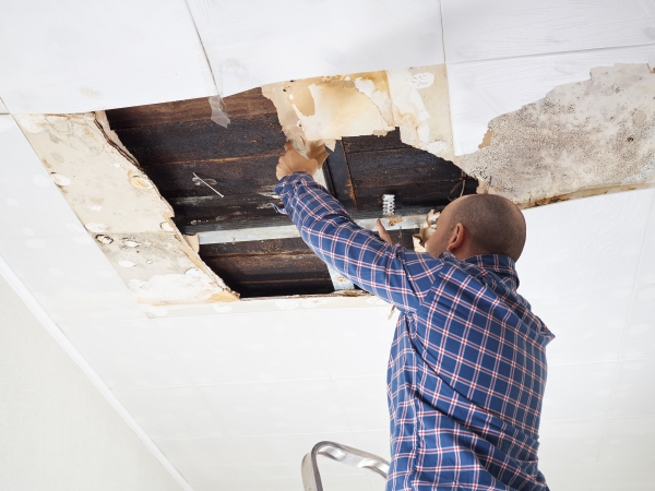Water Damage Restoration Company Pontiac, MI1